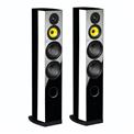 Review and test Floor standing speakers Davis Acoustics Vinci HD