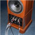 Floor standing speakers Legacy Audio Helix