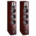 Review and test Floor standing speakers DALI Rubicon 8