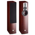 Review and test Floor standing speakers DALI Rubicon 5
