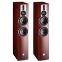 Review and test Floor standing speakers DALI Rubicon 6