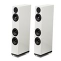 Review and test Floor standing speakers Arslab Emotion 3 SE