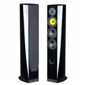 Review and test Floor standing speakers Davis Acoustics Matisse HD