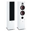 Review and test Floor standing speakers DALI Zensor 5